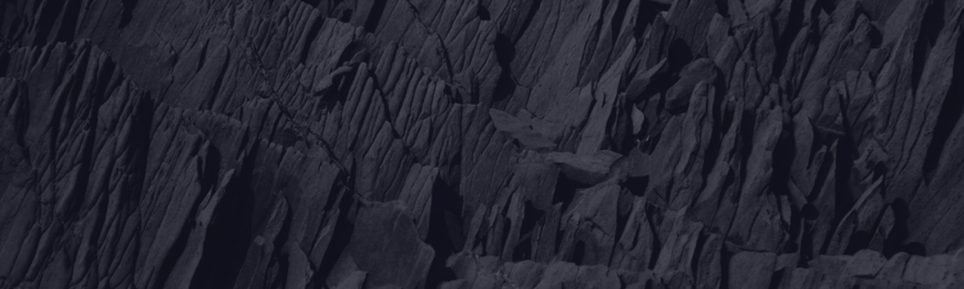 Management liability insurance