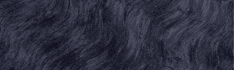 Confidential executive search